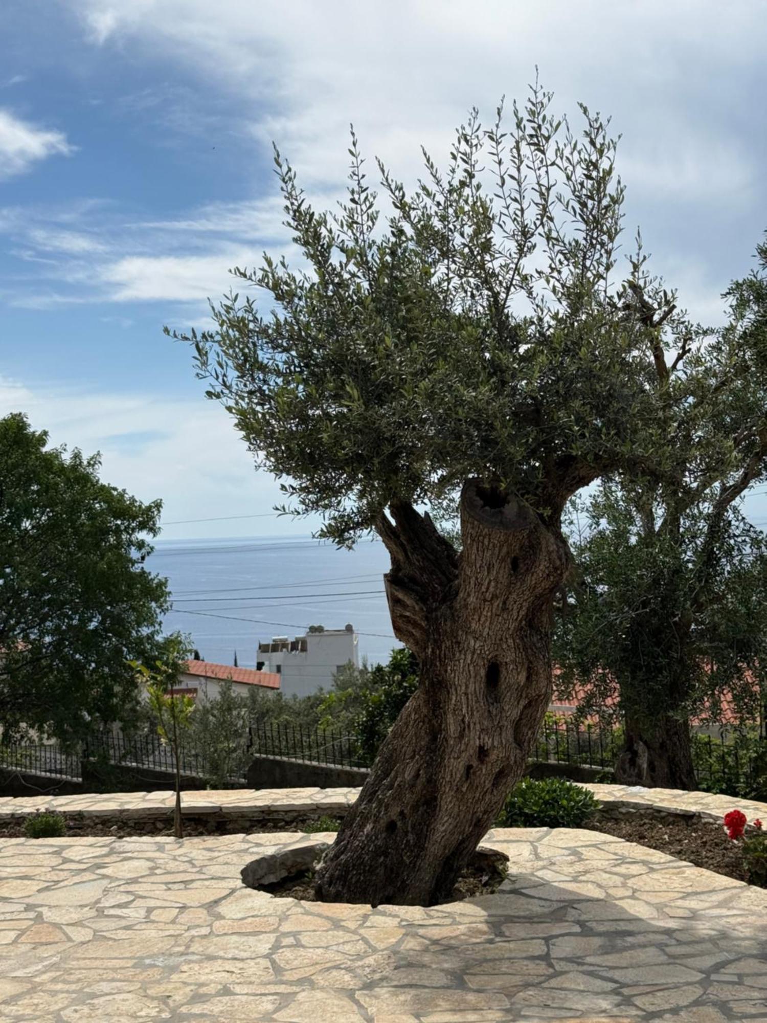 Villa Thomas Dhërmi Kültér fotó